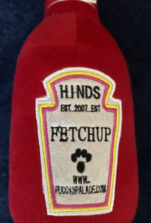 Fetchup Dog Toy